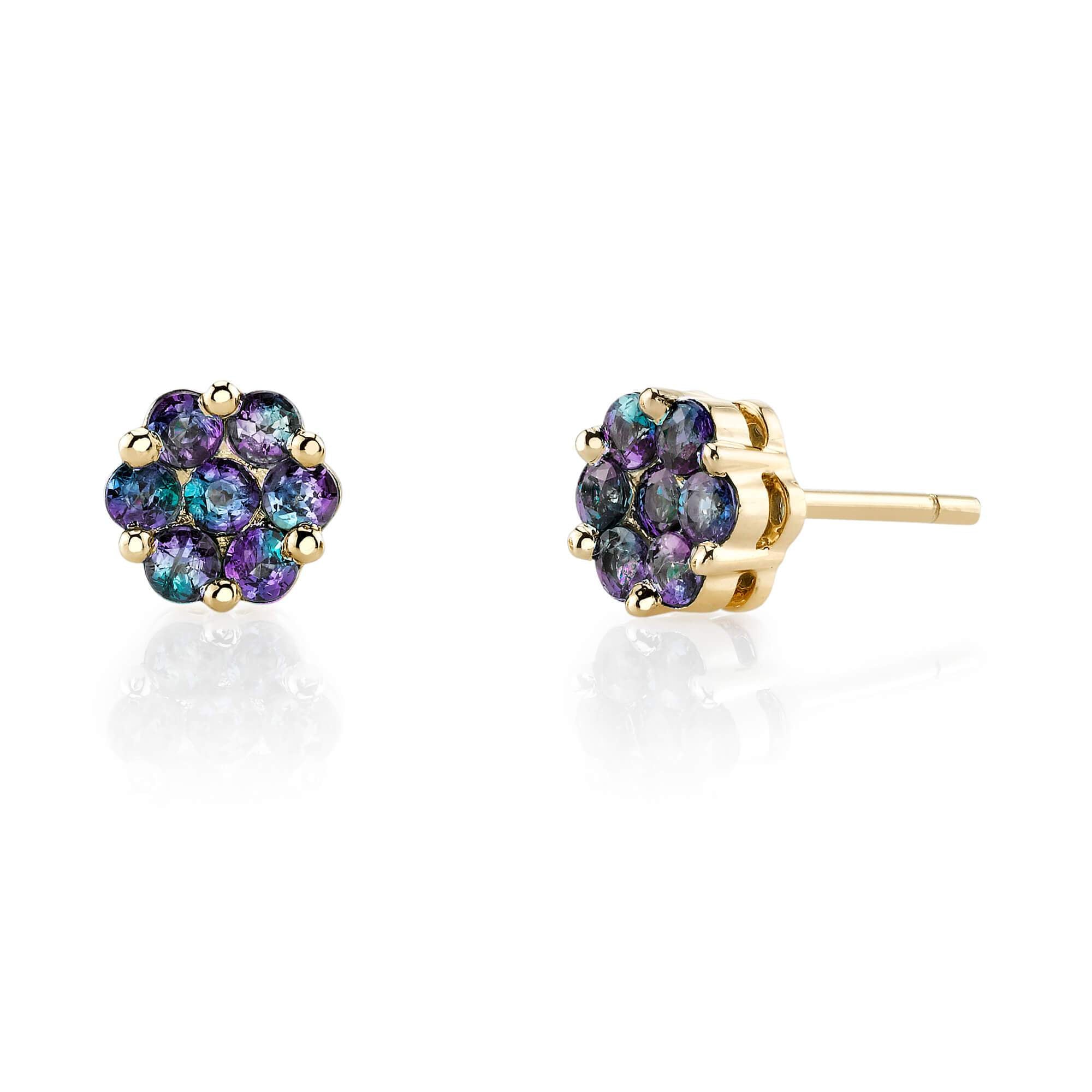 Adorn - 14K Yellow Gold Alexandrite Earring