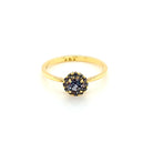 Crown of a Queen - 18K Yellow Gold Alexandrite Ring